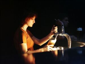 www.maxpixel.net-young-girl-bar-alcohol-woman-person-beer-nice-968496.jpg